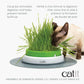 Catit Senses Cat Grass Kit
