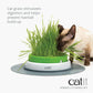 Ensemble de semences Catit Senses