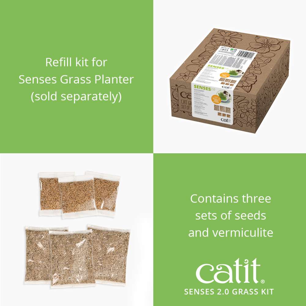 Ensemble de semences Catit Senses