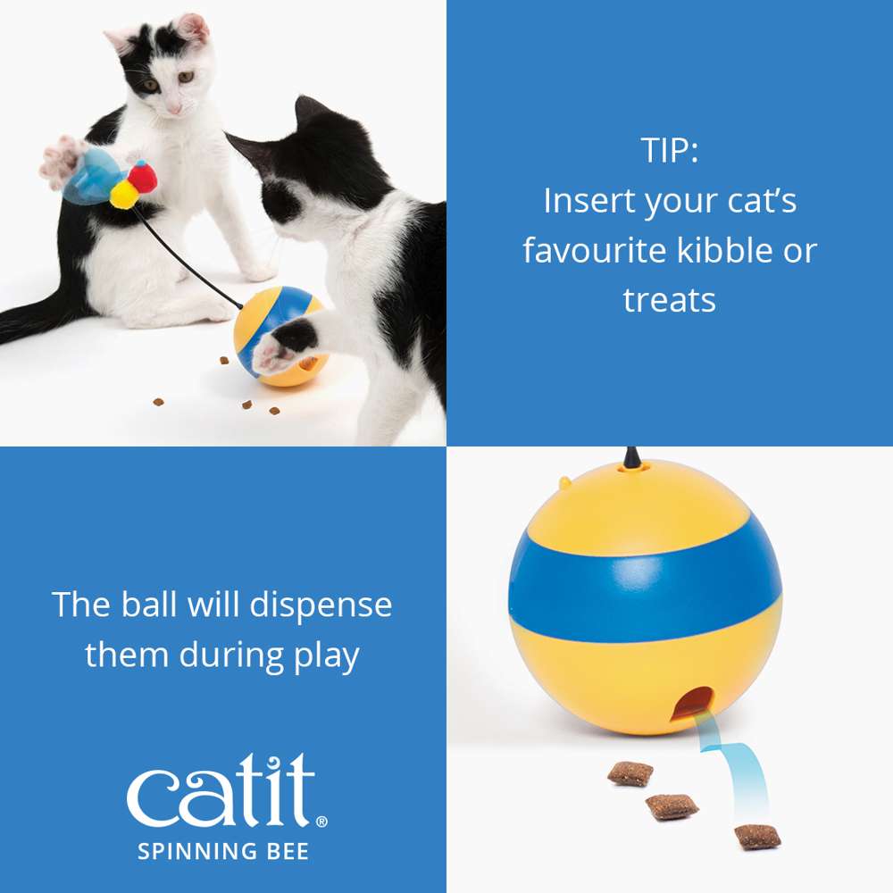 Abeille culbuto Catit Play