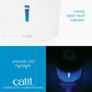 Abreuvoir Catit avec fleur et dessus en acier inoxydable