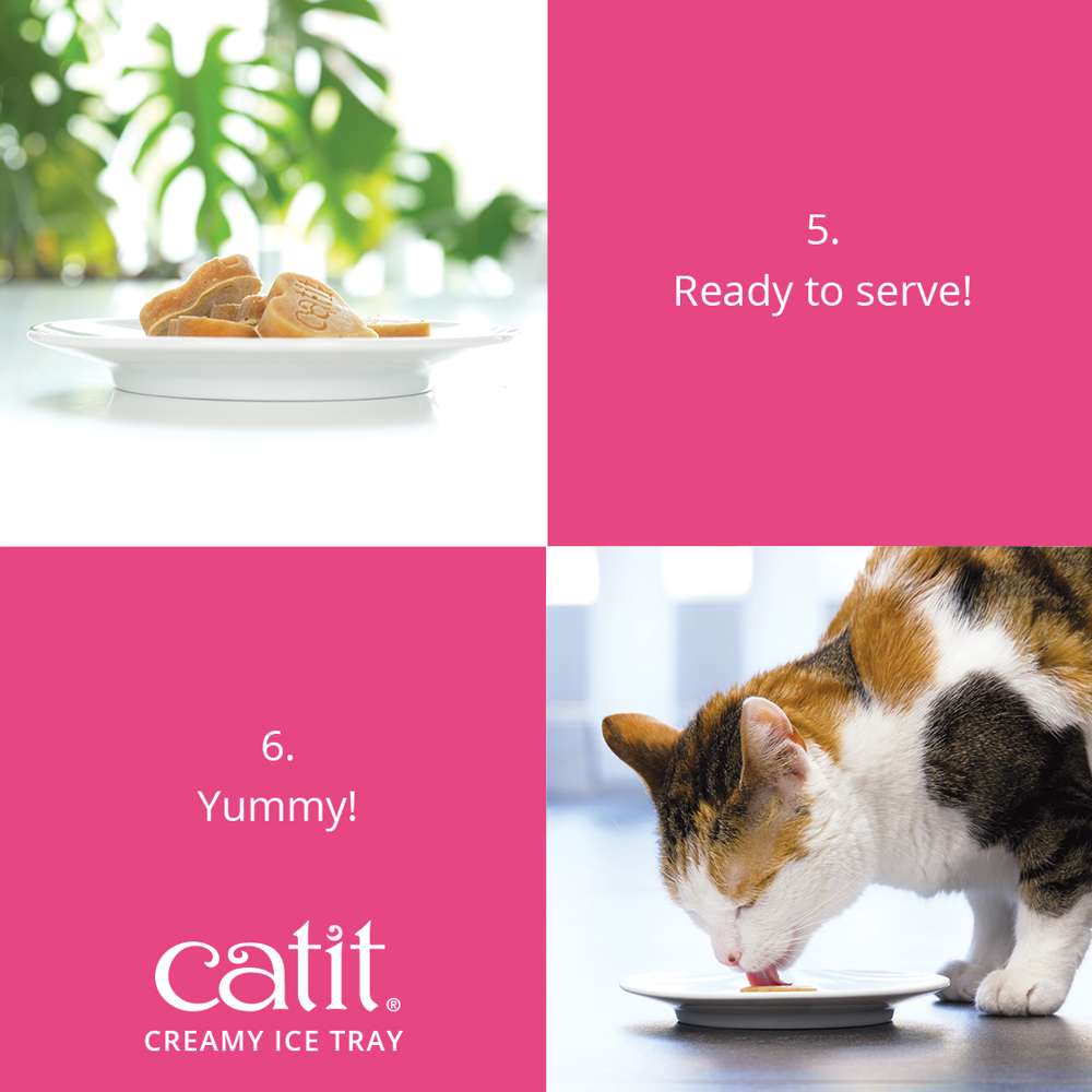 Catit Heart Shaped Silicone Ice Tray