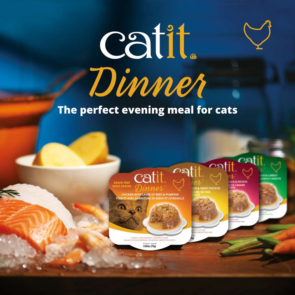 Repas de poulet Catit