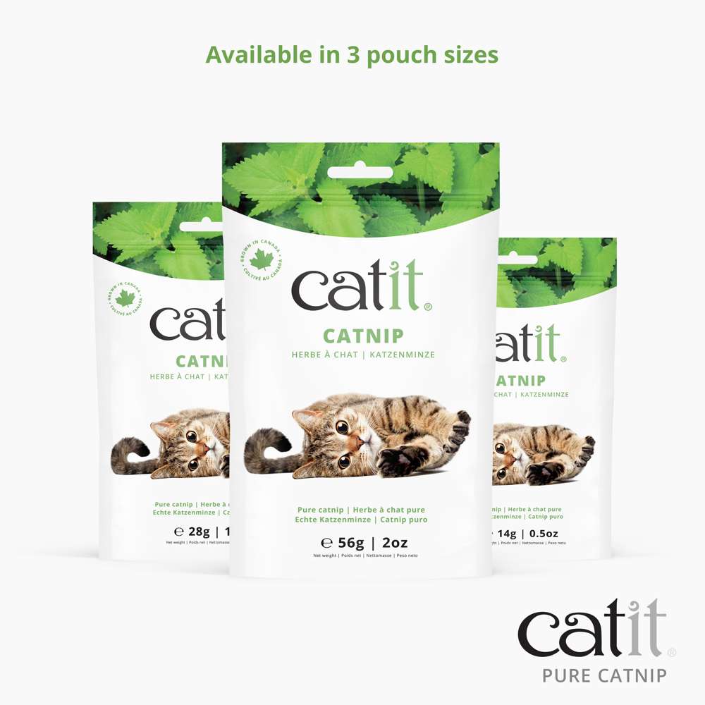 Catit Pure Catnip