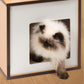 Meuble Vesper Box, petit ─ Noyer