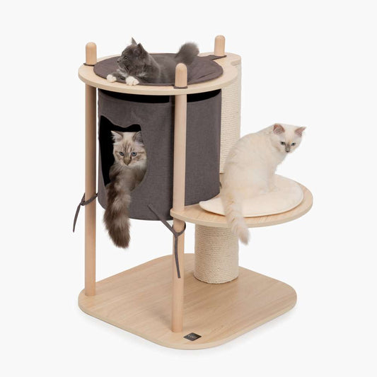 Arbre à chat TreeHouse Vesper –  petit