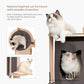 Arbre à chat TreeHouse Vesper –  petit