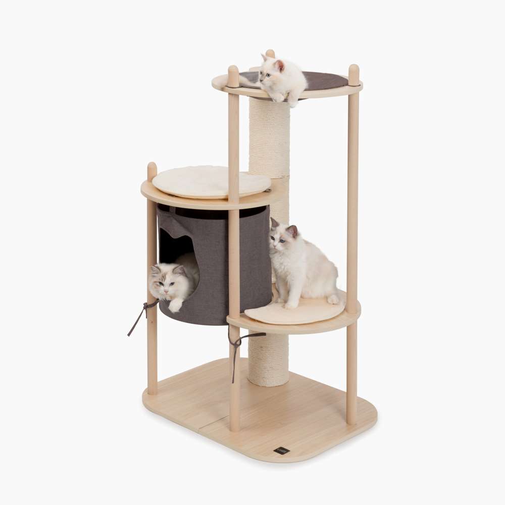 Arbre à chat TreeHouse Vesper –  moyen