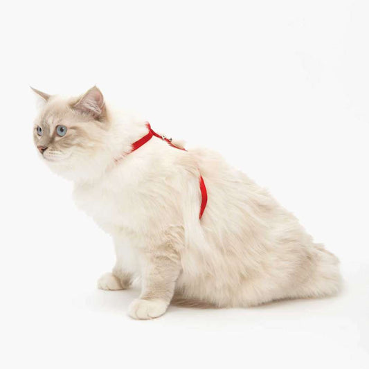 Catit Adjustable Harness