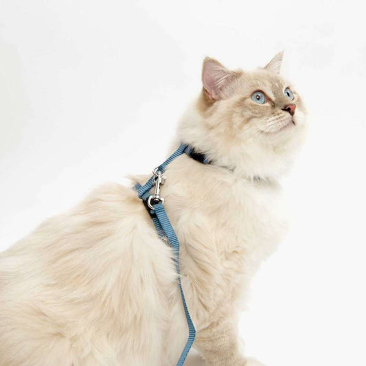 Catit Adjustable Harness and Leash Set