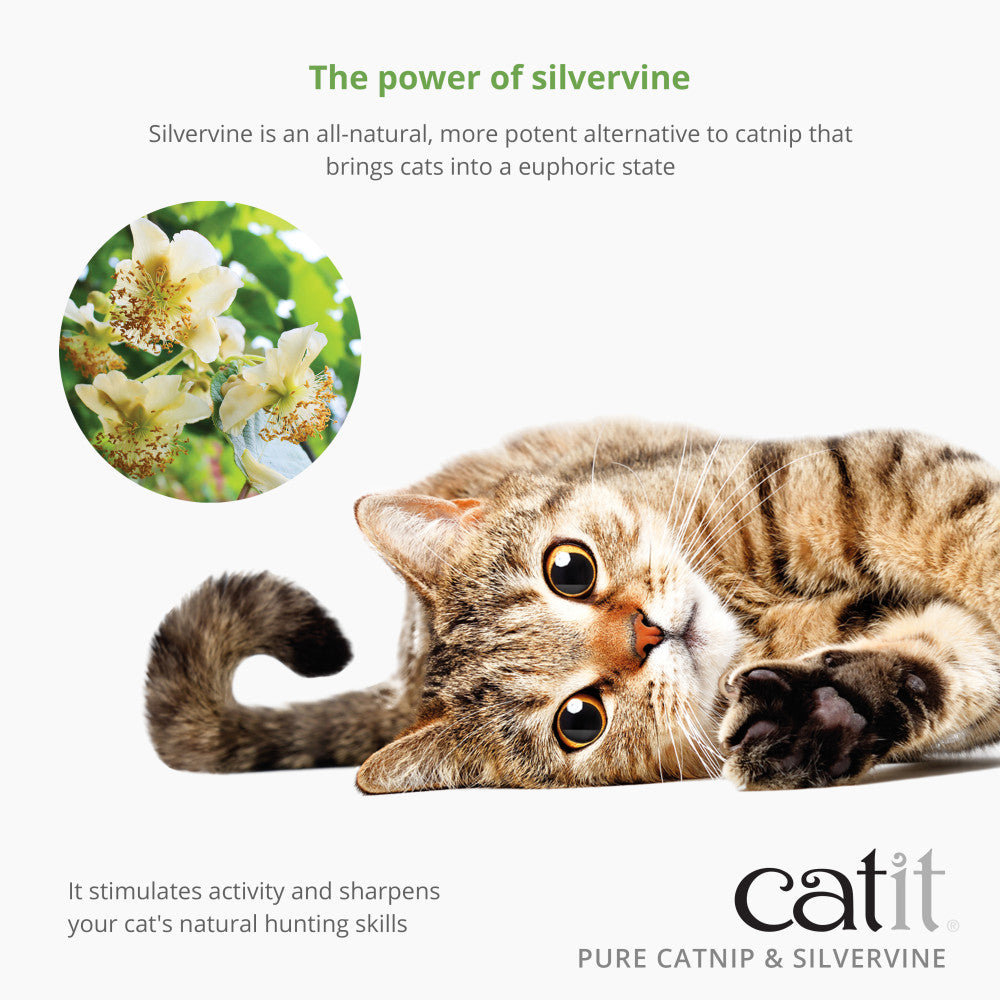 Catit Pure Catnip and Silvervine Mix