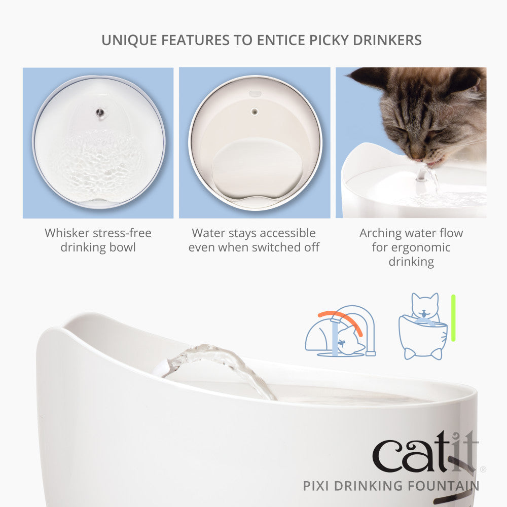 Best cat water fountain best sale