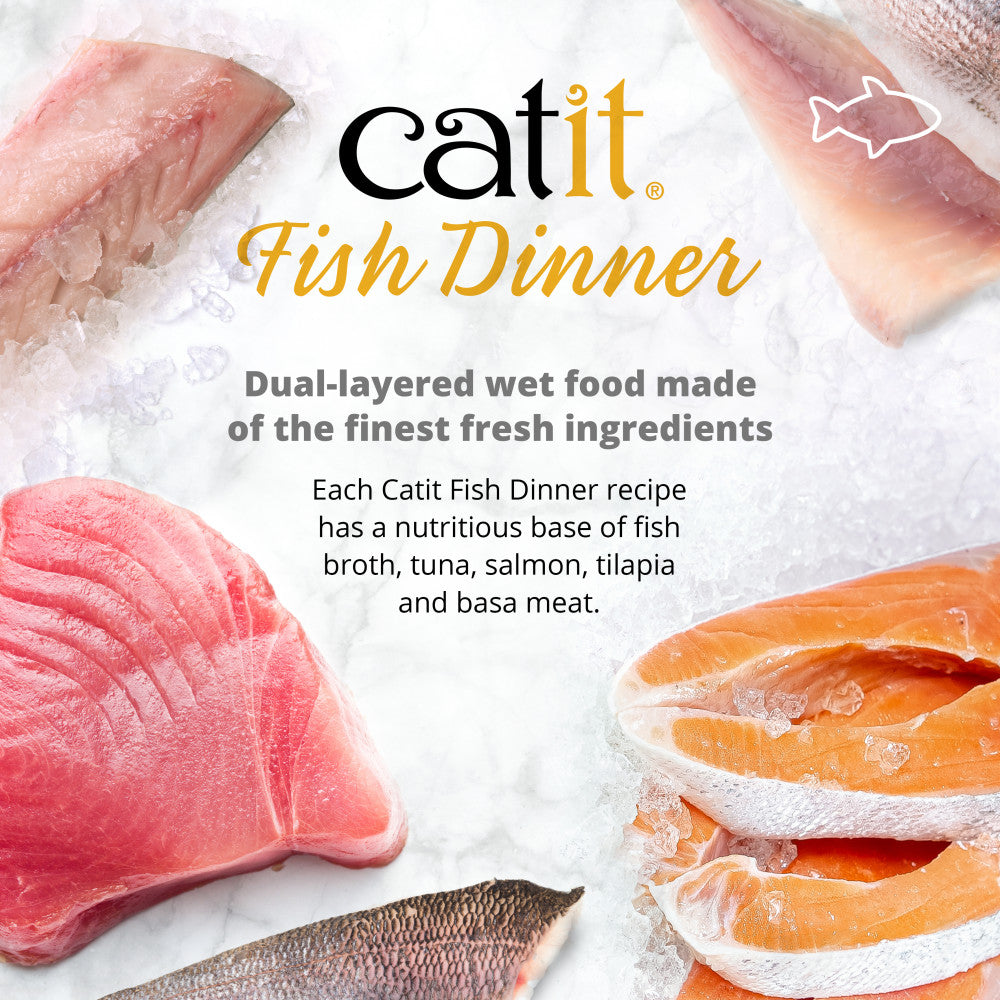 Repas de poisson Catit