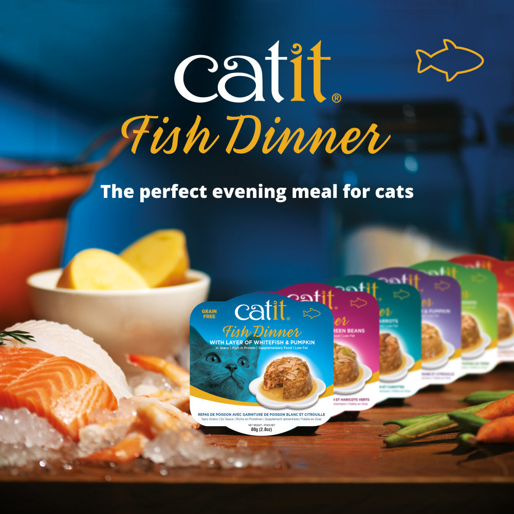 Catit Fish Dinner