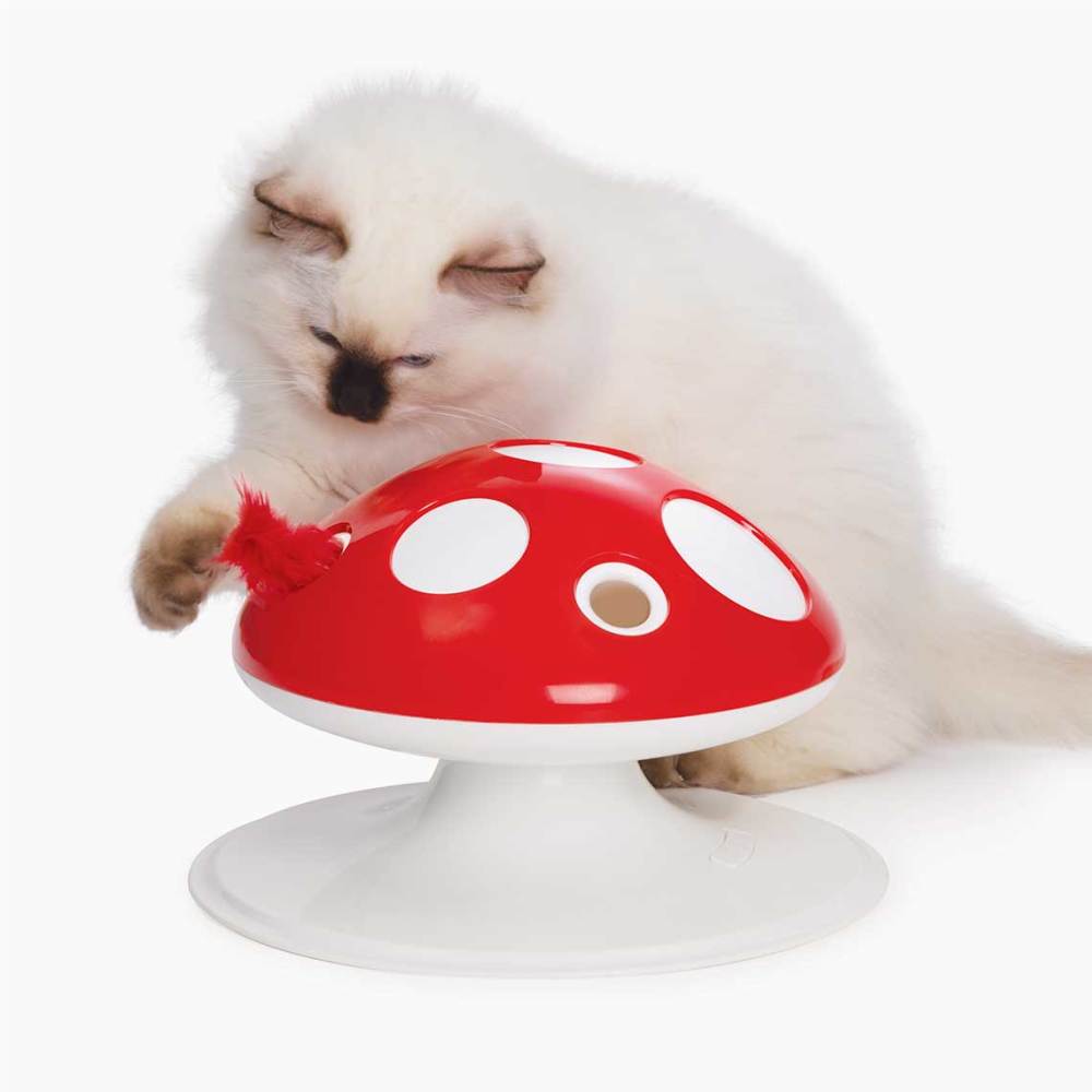 Cat playing with mushroom toy 