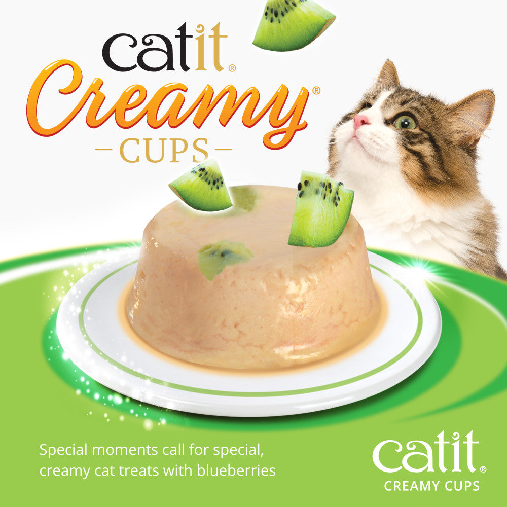 Creamy cups special moments call for special, creamy cat treats with blueberries