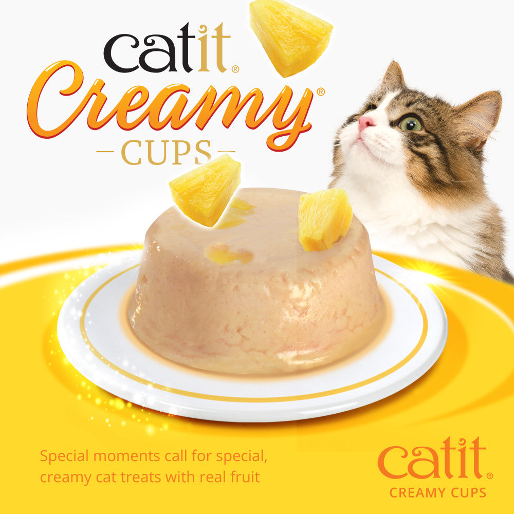 Creamy cups special moments call for special, creamy cat treats with real fruit 