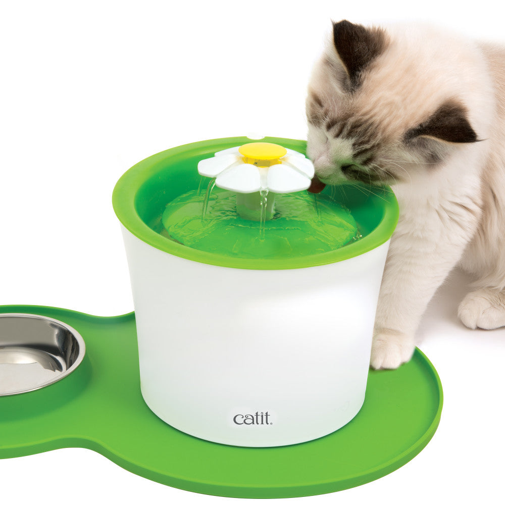 Cat drinking from flower fountain on green peanut placemat 