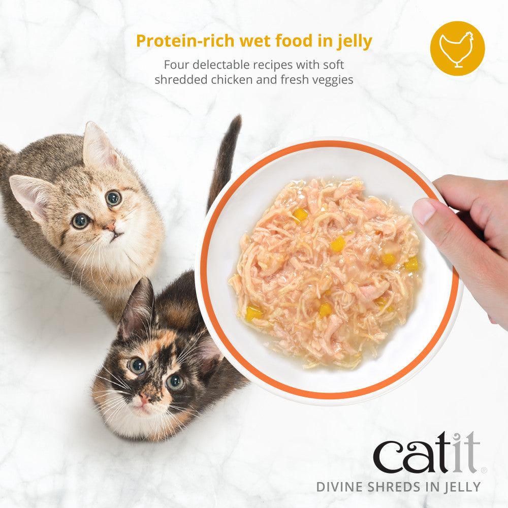 Catit Divine Shreds in Jelly – Chicken – 4 Pack
